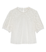 IDORA TOP -- SALT
